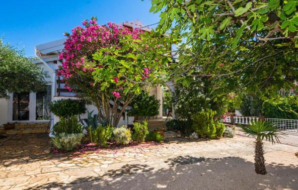 Apartment "Marija" - Otok فير المظهر الخارجي الصورة